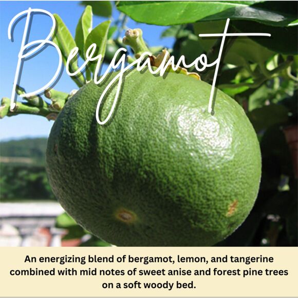 Mickey & Minnie Candle 16oz Bergamot‎ Scent | Repurposed Disney Mug Collectible - Picture 2 of 2